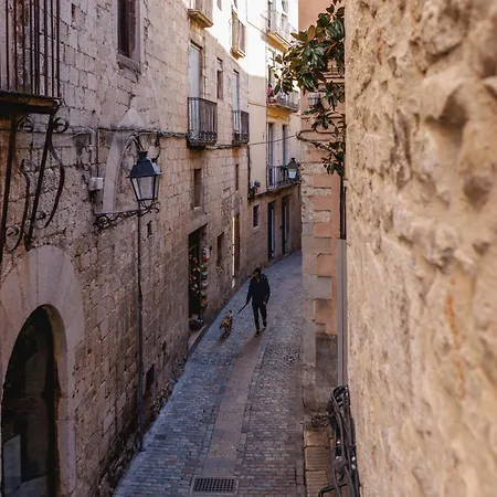 Bravissimo Catedral * Girona